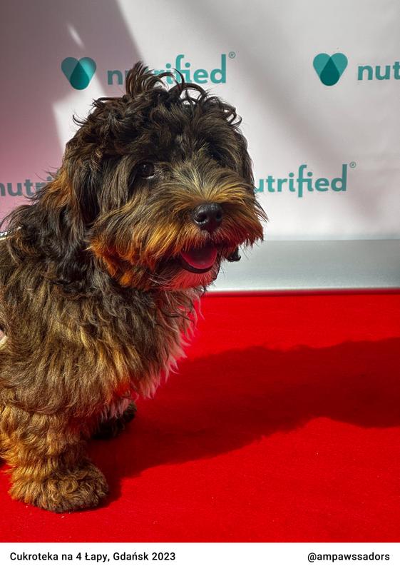 Cukroteka Gdansk 2023 03