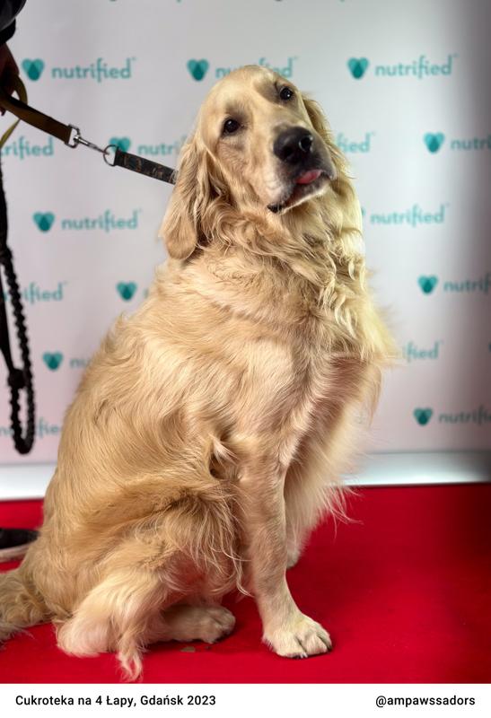 Cukroteka Gdansk 2023 04