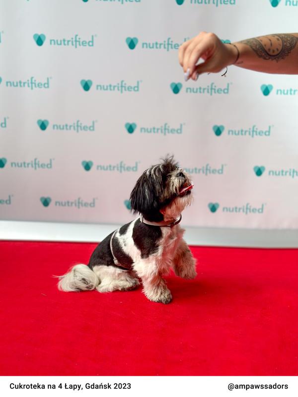 Cukroteka Gdansk 2023 05