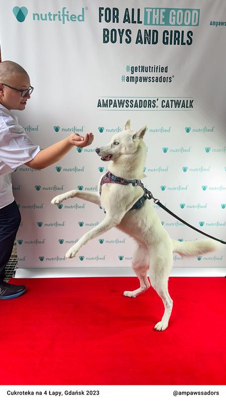 Cukroteka Gdansk 2023 12