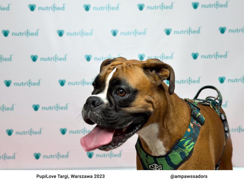 PupiLove Warszawa 2023