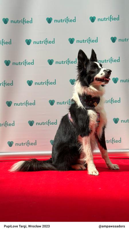 PupiLoveWRO 07